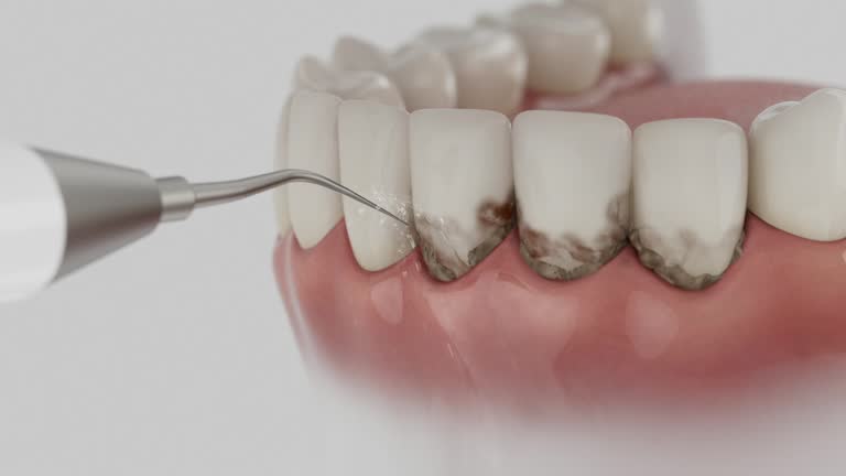 Reliable Dental contractor in Lexington, TN by Dentist Open Now
